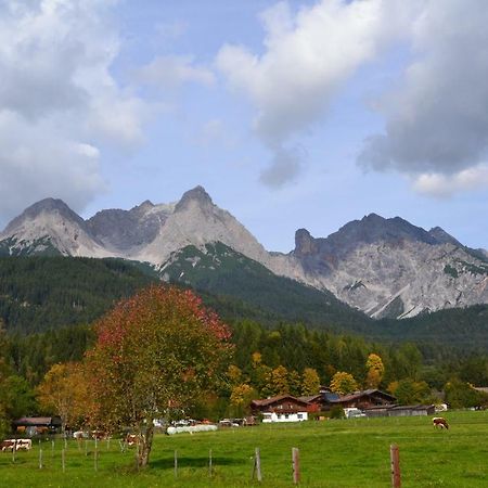 Appartement Herzog Saalfelden Екстериор снимка